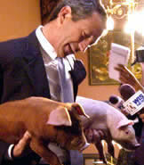 Mark-Sanford-Piglets exp