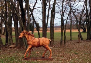 Horse in the Woods