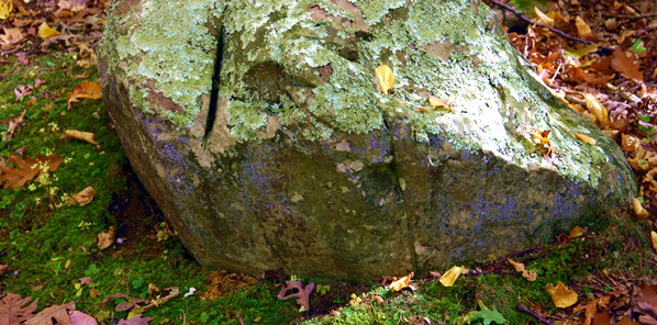 Mossy Rock
