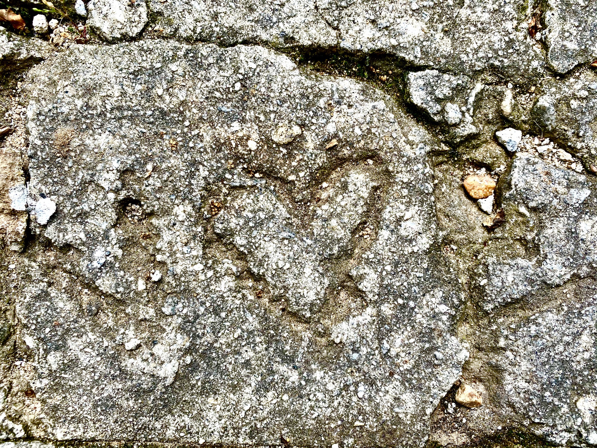 Heart in Stone